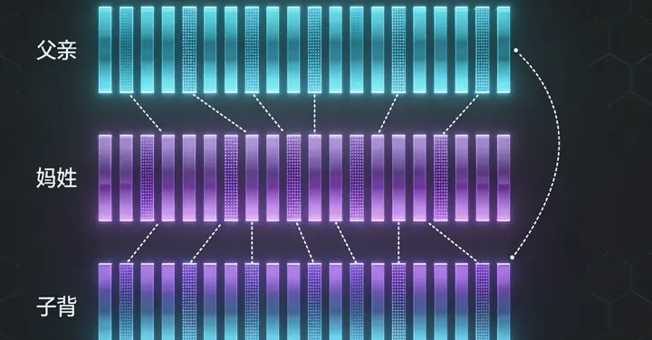 商洛亲子鉴定报告