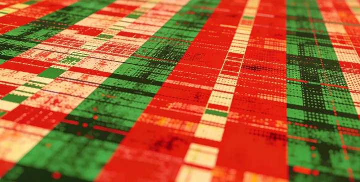 洱源鉴定报告展示 洱源鉴定报告展示