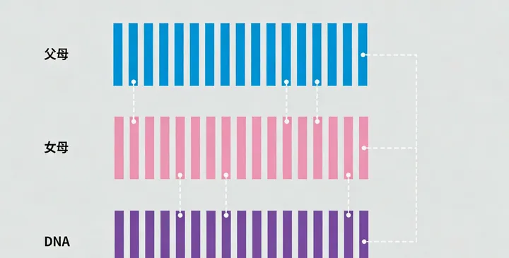 上思县亲子鉴定材料 上思县亲子鉴定材料