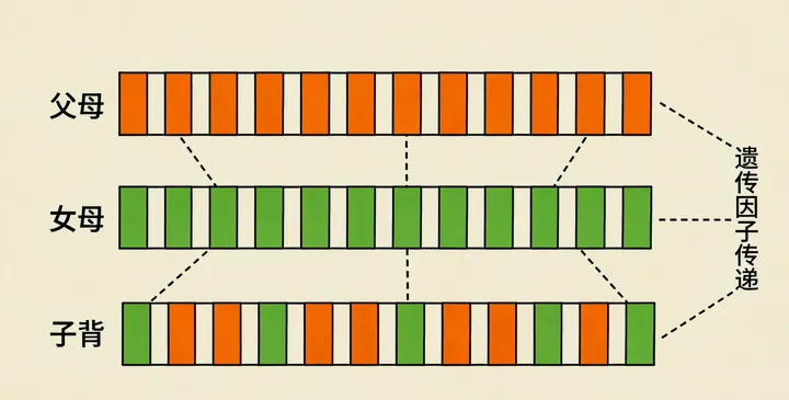 嫩江亲子鉴定咨询 嫩江亲子鉴定咨询