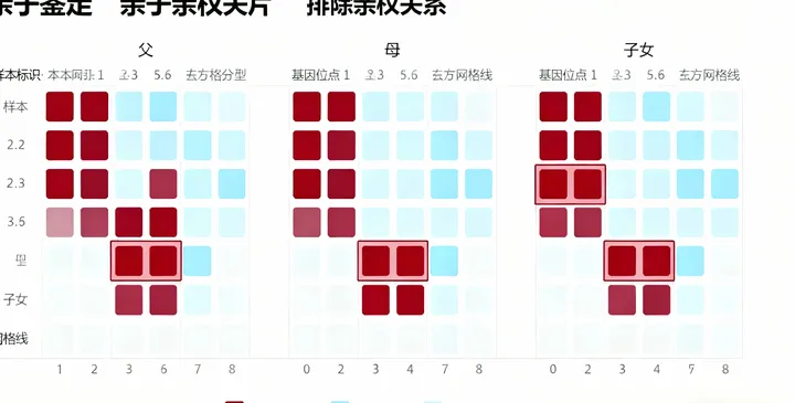贵南亲子鉴定报告样本 贵南亲子鉴定报告样本
