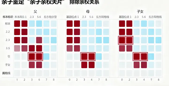 逊克亲子鉴定报告 逊克亲子鉴定报告