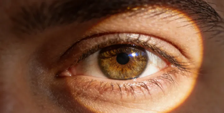 阳西亲子鉴定价格 阳西亲子鉴定价格