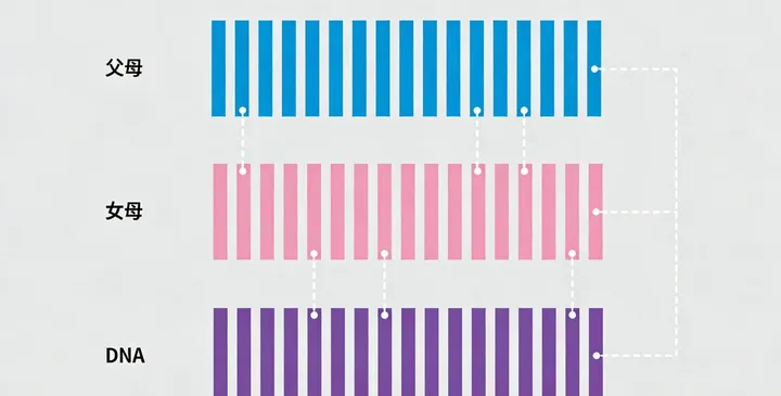 鸡东亲子鉴定电话咨询 鸡东亲子鉴定电话咨询