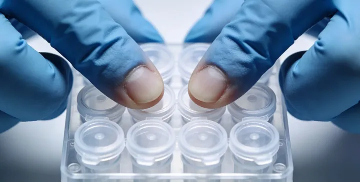 华容亲子鉴定咨询 华容亲子鉴定咨询