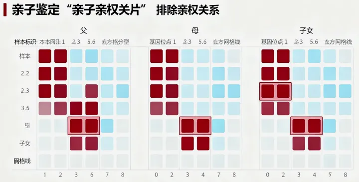 道县司法亲子鉴定报告 道县司法亲子鉴定报告