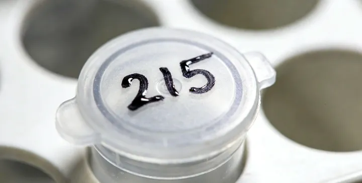 南宁亲子鉴定咨询 南宁亲子鉴定咨询