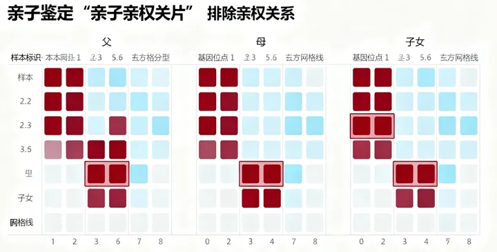 马山亲子鉴定报告 马山亲子鉴定报告