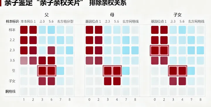 枣阳亲子鉴定报告 枣阳亲子鉴定报告