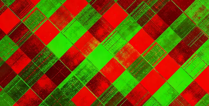 饶平鉴定报告 饶平鉴定报告