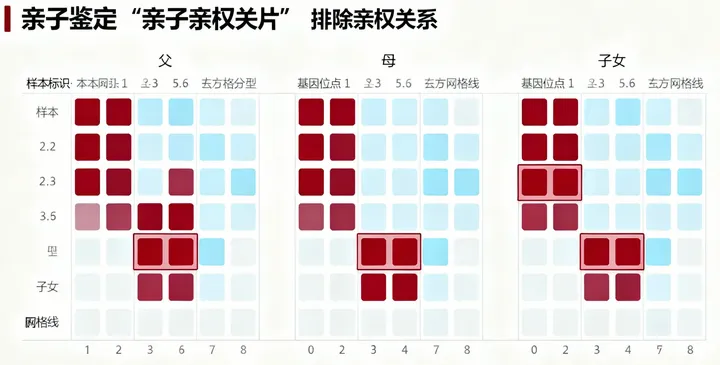 仙游司法鉴定报告 仙游司法鉴定报告