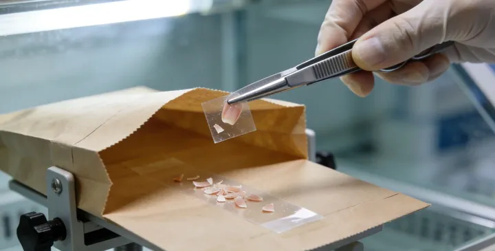 苏州亲子鉴定特殊样本 苏州亲子鉴定特殊样本