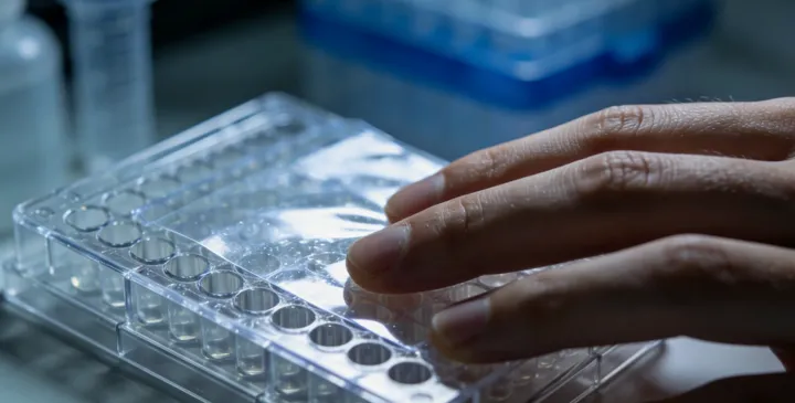 柳州亲子鉴定防骗 柳州亲子鉴定防骗