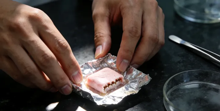 永登万核亲子鉴定咨询 永登万核亲子鉴定咨询