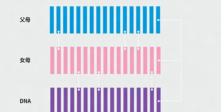 翁牛特旗亲子鉴定采样过程 翁牛特旗亲子鉴定采样过程