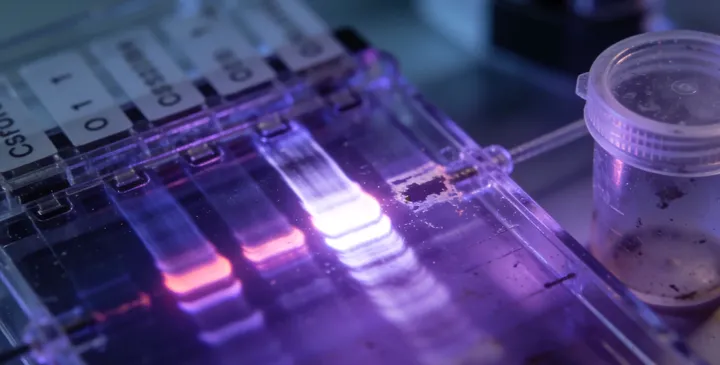 成县亲子鉴定费用咨询场景 成县亲子鉴定费用咨询场景