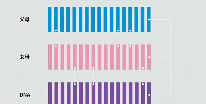 监利亲子鉴定电话咨询 监利亲子鉴定电话咨询