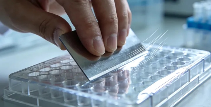 淳化落户亲子鉴定材料清单 淳化落户亲子鉴定材料清单