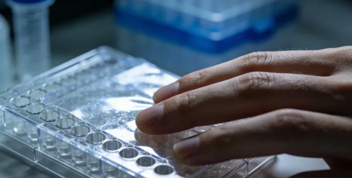 乌兰察布亲子鉴定咨询 乌兰察布亲子鉴定咨询