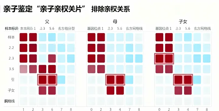 横州司法亲子鉴定报告 横州司法亲子鉴定报告
