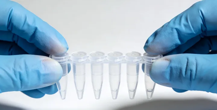 宜昌亲子鉴定咨询 宜昌亲子鉴定咨询