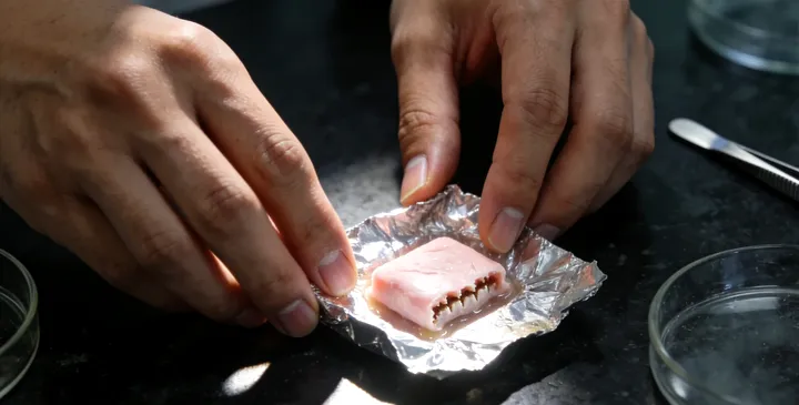 汶上亲子鉴定所需证件材料 汶上亲子鉴定所需证件材料