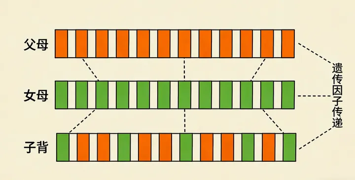 天镇亲子鉴定咨询现场 天镇亲子鉴定咨询现场