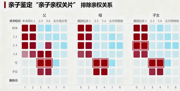 包头亲子鉴定报告样本 包头亲子鉴定报告样本
