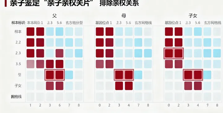 洛阳派出所户籍办理 洛阳派出所户籍办理